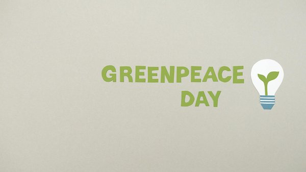 Top astuces économiques pour choisir une mutuelle chat efficace